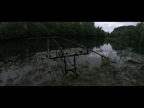 CARP FISHING ჰირველი ვიდეო საზანზე თევზაობა